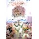 Sutera Harbour Wedding Decoration Package (Chinese, Indian, English) Style from RM 5999