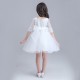 Lace Embroidery Sheer Sleeved Flower Girl Dress
