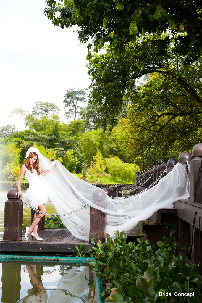 Bride Photography ~ Long Veil