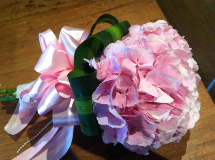Pink Hydrangea from Holland. Sweet , fresh and elegant