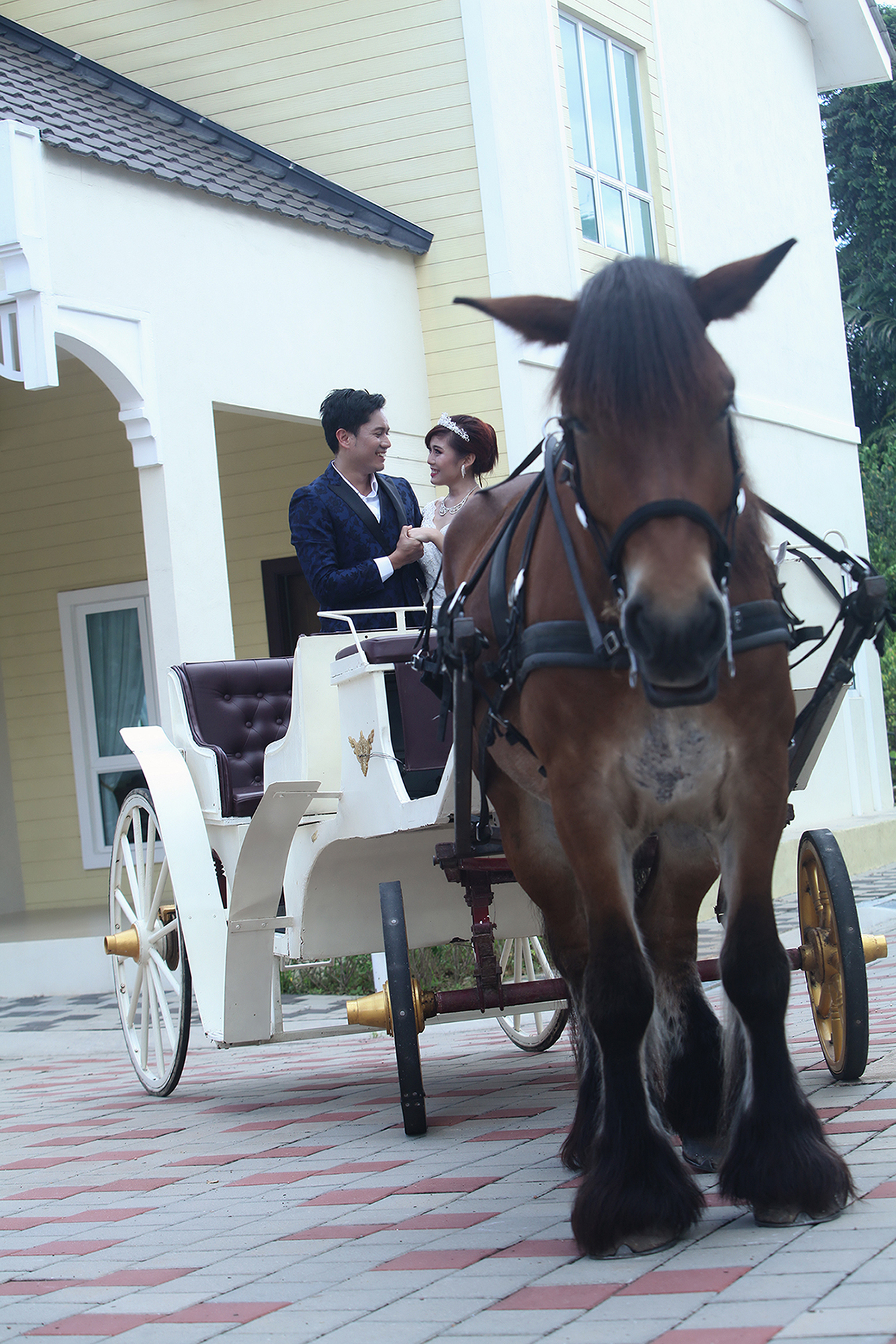 Horse Carriage Ride @ Everia Villas Resort